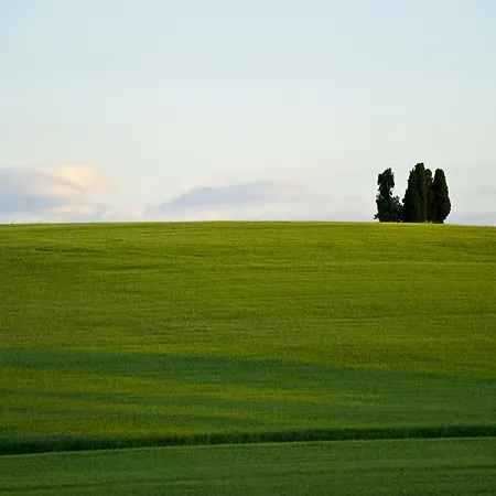 Maffei